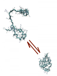 BIOPHYS