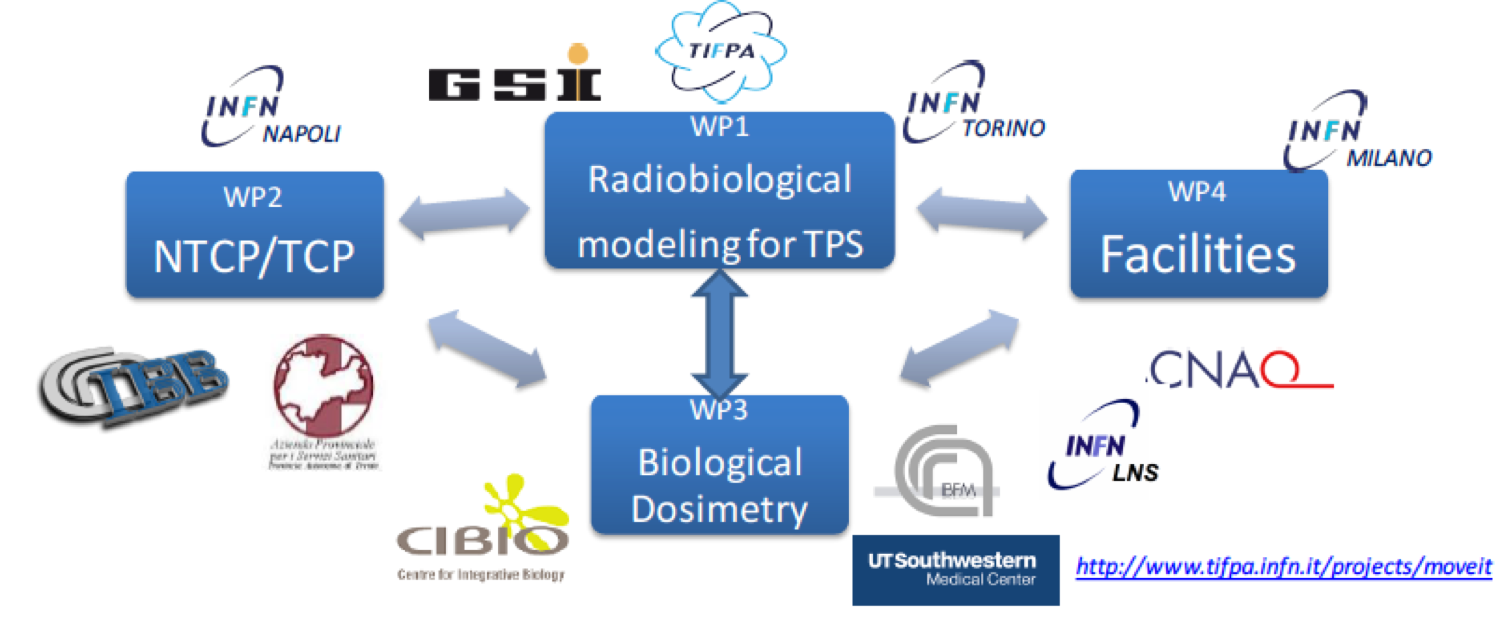 Scheme of the project organization, including INFN groups and external partners involved